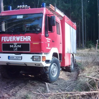 ffw1_064.jpg