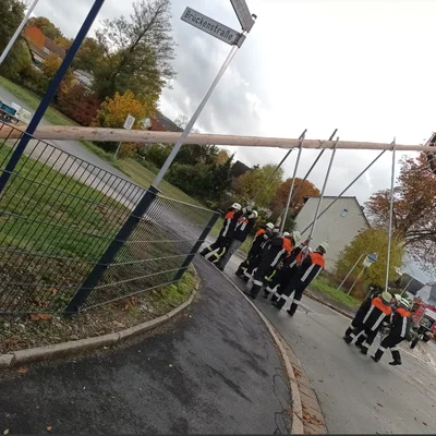 maibaumeinwintern22.png