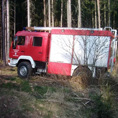 ffw1_066.jpg