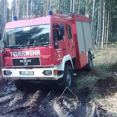 ffw1_070.jpg